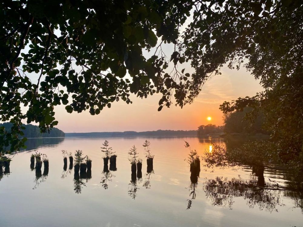 Sonnenaufgang am See